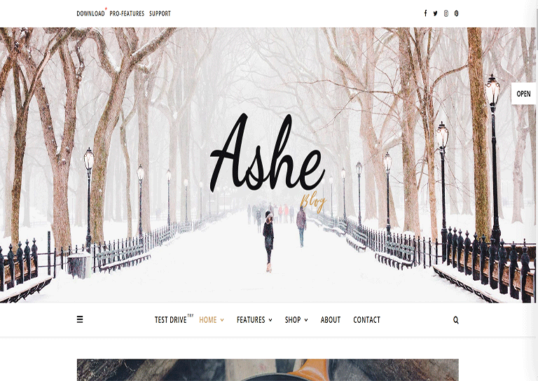 ashe wordpress theme