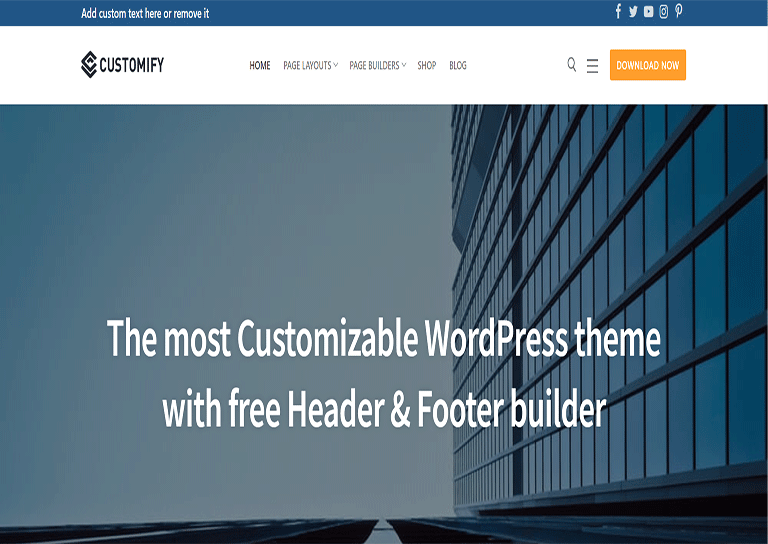 customify wordpress theme