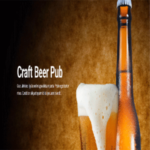 Beer Divi Theme