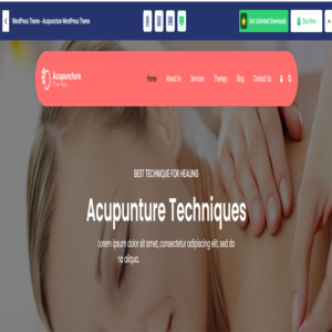 Acupuncture WordPress Theme