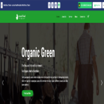 Amusement Park WordPress Theme
