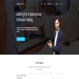 Bug Testing WordPress Theme