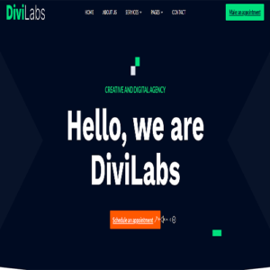 Divi Labs WordPress Child Theme