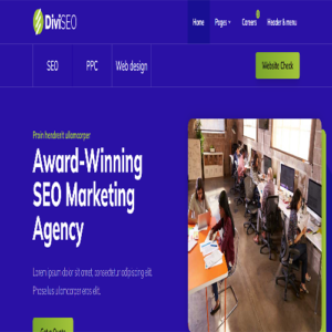 Divi Seo WordPress Child Theme