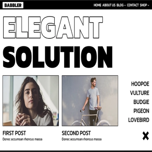 Babbler Block Based WordPress Theme
