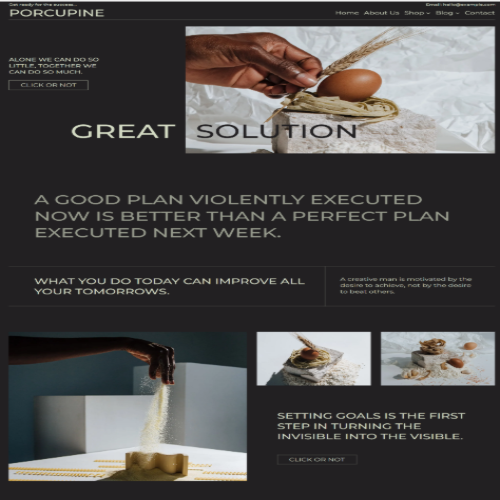 Porcupine Block Based WordPress Theme