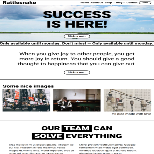 Rattlesnake Block Based WordPress Theme