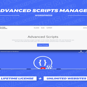 Advanced Scripts Manager